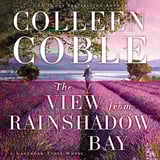 The View from Rainshadow Bay: Romantic Suspense