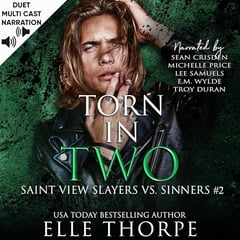 Torn in Two: Saint View Slayers vs. Sinners, Book 2