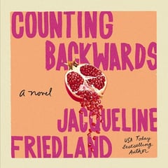 Counting Backwards: A Novel