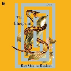 The Blueprint: A Novel