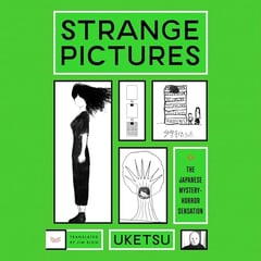 Strange Pictures: A Novel