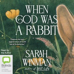 When God Was a Rabbit