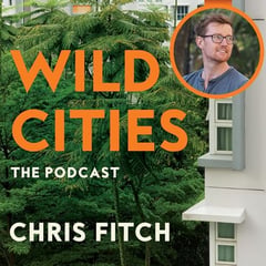 Wild Cities