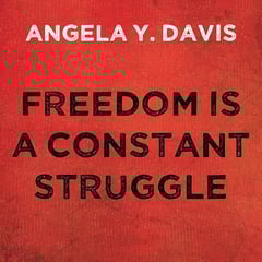 Freedom Is a Constant Struggle: Ferguson, Palestine, and the Foundations of a Movement