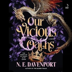 Our Vicious Oaths: A Novel