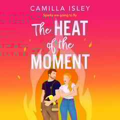The Heat of the Moment: The Meet Cute, Book 2