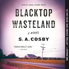 Blacktop Wasteland: A Novel
