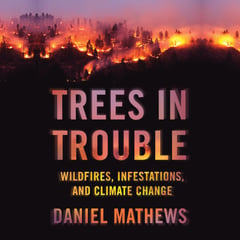 Trees in Trouble