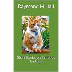 Short Stories and Strange Endings
