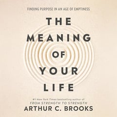 The Meaning of Your Life: Finding Purpose in an Age of Emptiness