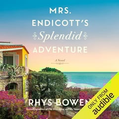 Mrs. Endicott's Splendid Adventure: A Novel
