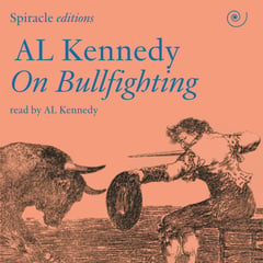 On Bullfighting
