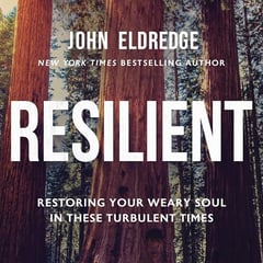 Resilient: Restoring Your Weary Soul in These Turbulent Times
