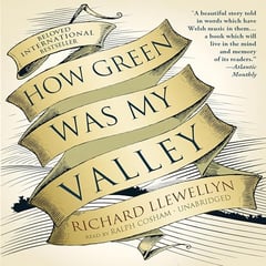 How Green Was My Valley