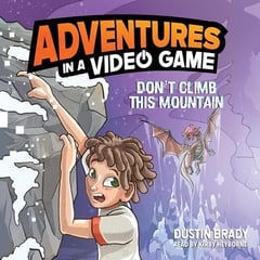 Adventures in a Video Game: Don't Climb This Mountain