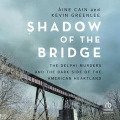 Shadow of the Bridge