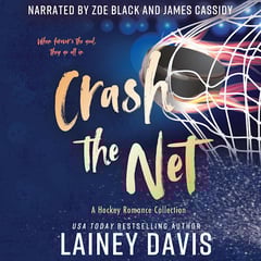 Crash the Net: A Hockey Romance Collection