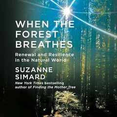 When the Forest Breathes: Renewal and Resilience in the Natural World