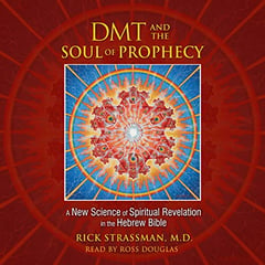 DMT and the Soul of Prophecy: A New Science of Spiritual Revelation in the Hebrew Bible