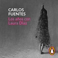 Los años con Laura Díaz [The Years with Laura Diaz]