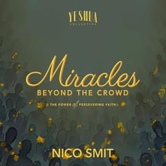 Miracles Beyond the Crowd: The Power of Persevering Faith