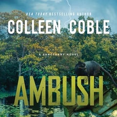 Ambush: A Small-Town Romantic Suspense