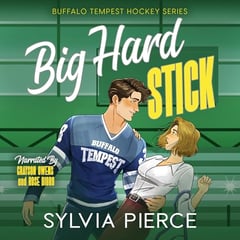 Big Hard Stick: A Hockey Romance (Buffalo Tempest Hockey, Book 3)