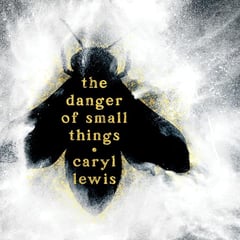 The Danger of Small Things