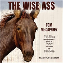 The Wise Ass: Claire Trilogy Series, Book 1