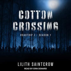 Cotton Crossing: Roadtrip Z, Book 1