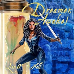 Dreamer, Awake!