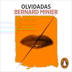 Olvidadas: Teniente Lucía Guerrero, Book 2