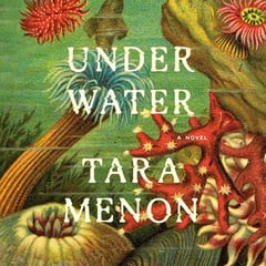 Under Water: A Novel