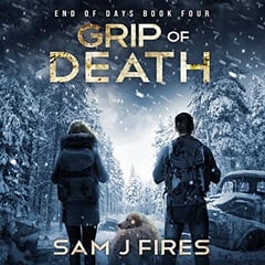 Grip of Despair: After the End, Book 2