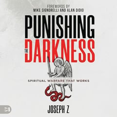 Punishing the Darkness: Spiritual Warfare That Works