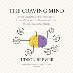 The Craving Mind: From Cigarettes to Smartphones to Love - Why We Get Hooked and How We Can Break Bad Habits