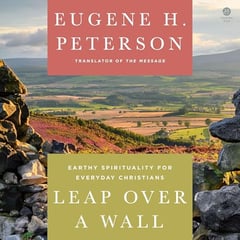 Leap Over a Wall: Earthy Spirituality for Everyday Christians