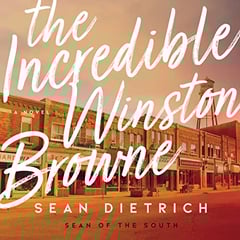 The Incredible Winston Browne: A Novel by “Sean of the South”