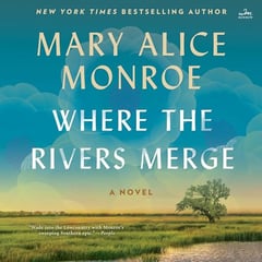Where the Rivers Merge: A Novel