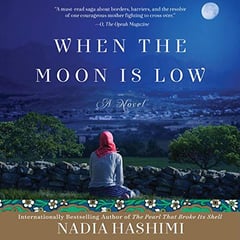 When the Moon Is Low: A Novel