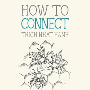 How to Connect: Mindfulness Essentials, Book 8