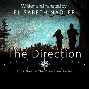 The Direction, Book One: Christian Dystopian Fiction