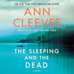 The Sleeping and the Dead: A Novel