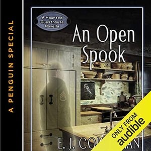An Open Spook: A Haunted Guesthouse Mystery