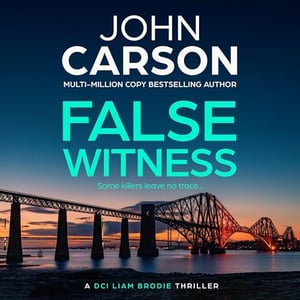 False Witness: DCI Liam Brodie, Book 2