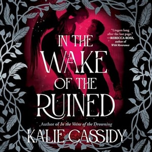 In the Wake of the Ruined: A Novel