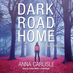 Dark Road Home: A Gin Sullivan Mystery, Book 1