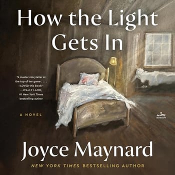 How the Light Gets In: A Novel