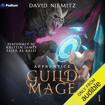 Guild Mage: Apprentice: Guild Mage, Book 1