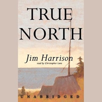 True North